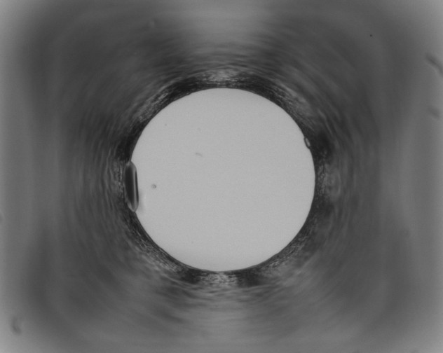 X0000097820421200804041403