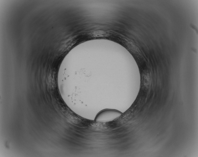 X0000097820422200804041403