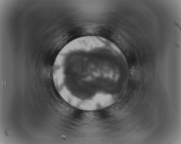 X0000097820423200804041403