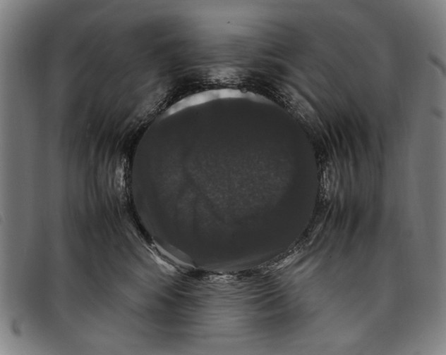 X0000097820424200804041403