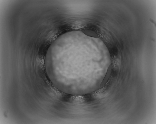 X0000097820427200804041403