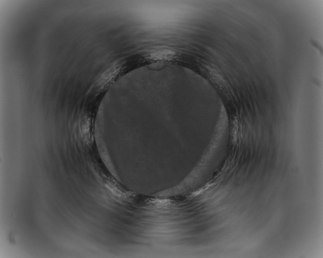 X0000097820428200804041403