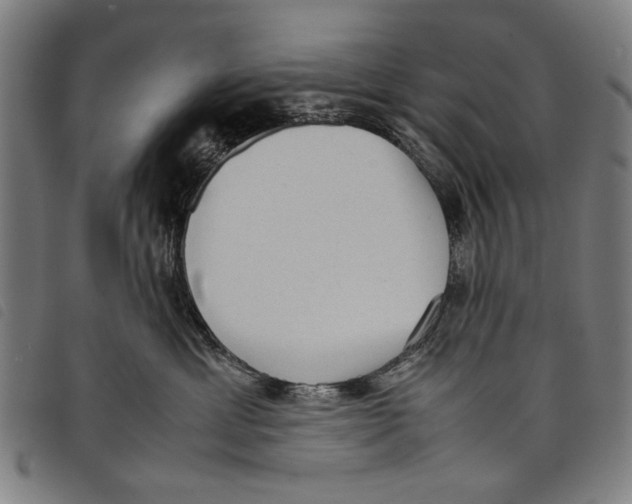 X0000097820429200804041403