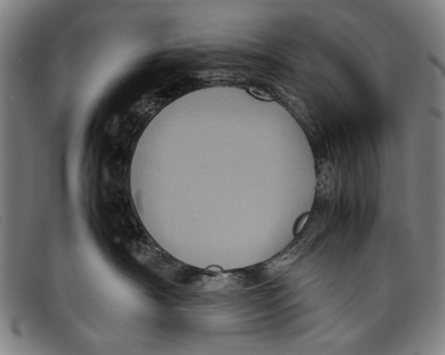 X0000097820430200804041403