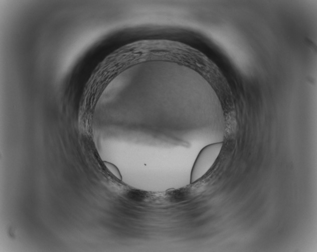 X0000097820431200804041403