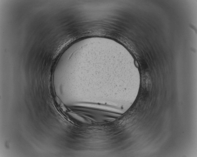 X0000097820434200804041402