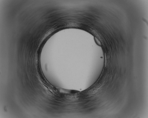 X0000097820435200804041402