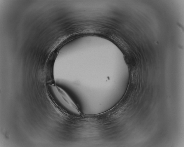 X0000097820436200804041402