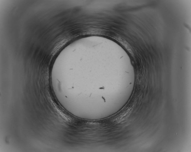 X0000097820437200804041402