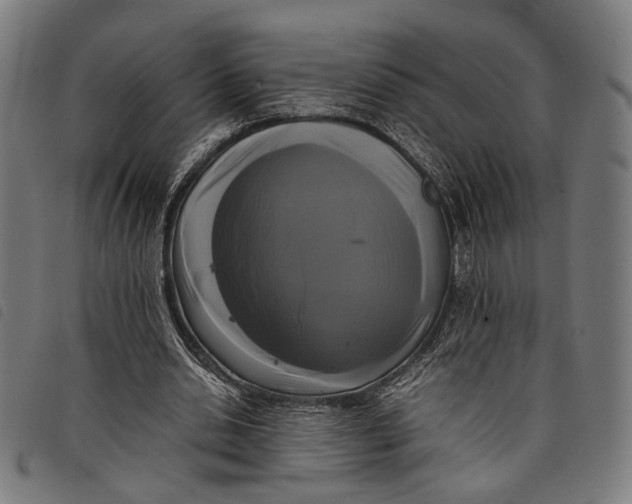 X0000097820438200804041402