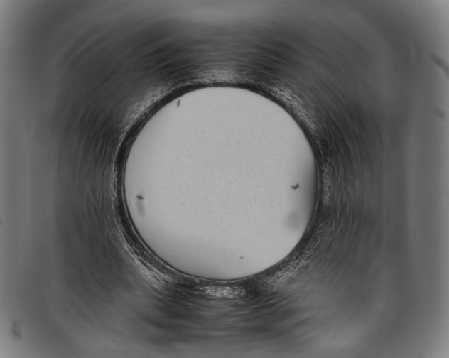 X0000097820439200804041402