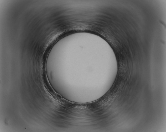 X0000097820440200804041402