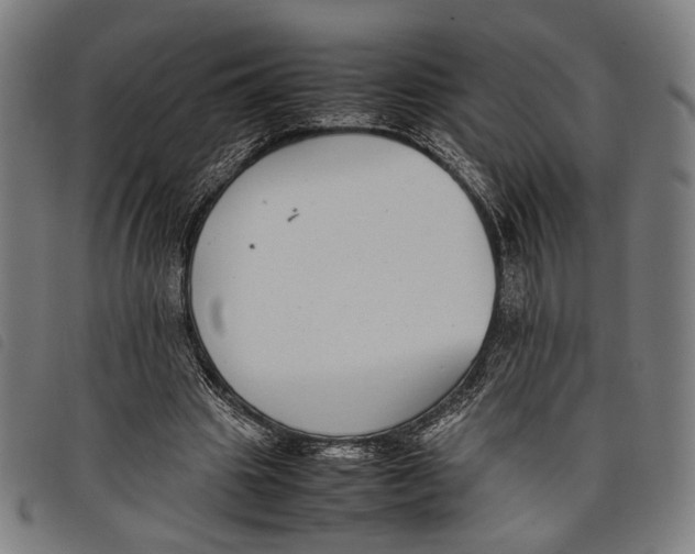 X0000097820441200804041402