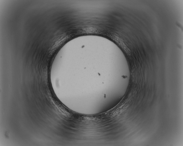 X0000097820442200804041402