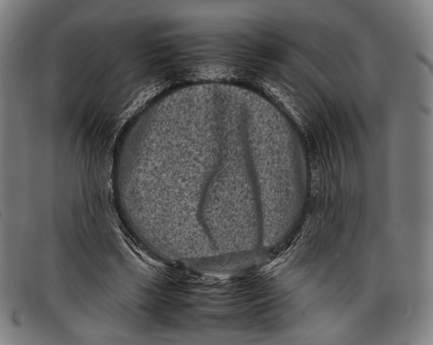 X0000097820443200804041402