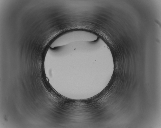 X0000097820444200804041402