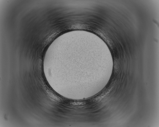 X0000097820445200804041402