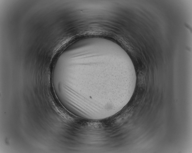 X0000097820446200804041402