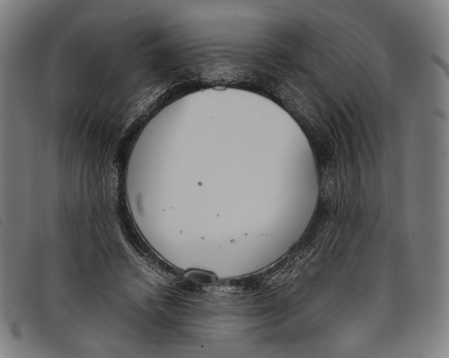 X0000097820448200804041402