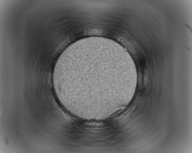 X0000097820449200804041402