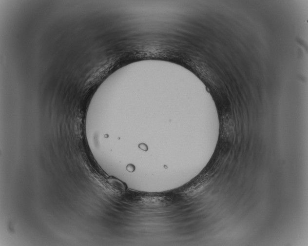 X0000097820450200804041402