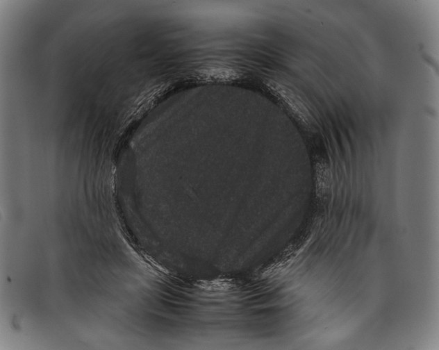 X0000097820451200804041402