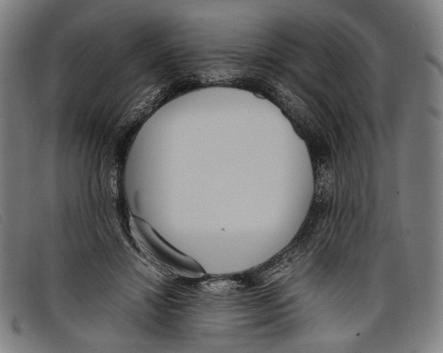 X0000097820452200804041403