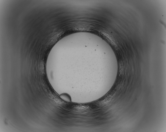 X0000097820453200804041403