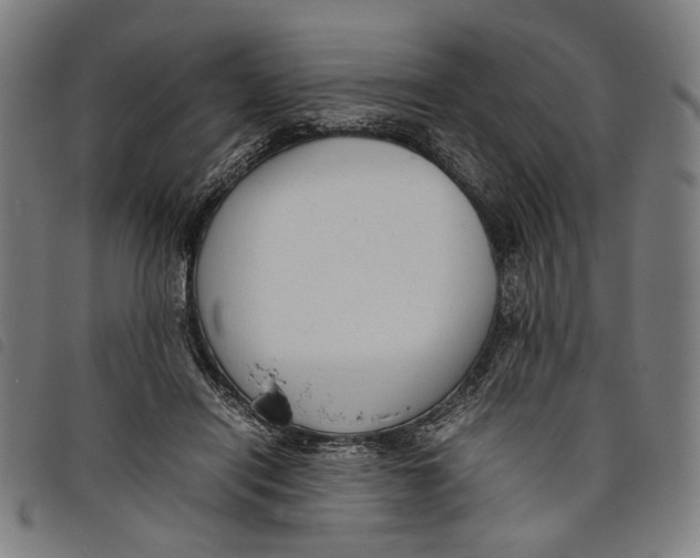 X0000097820454200804041403