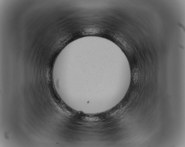 X0000097820455200804041403