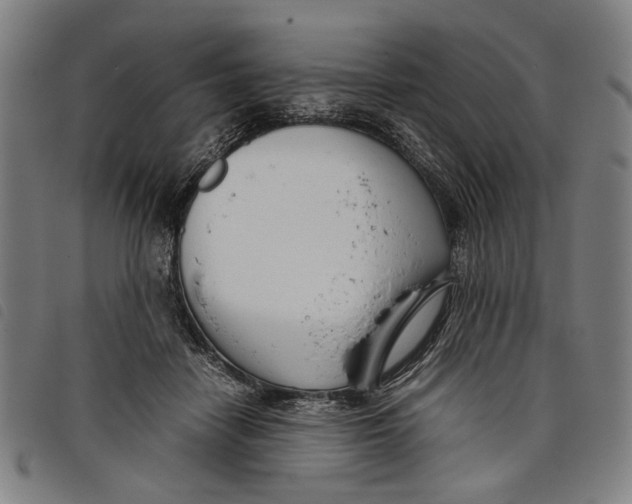 X0000097820458200804041403