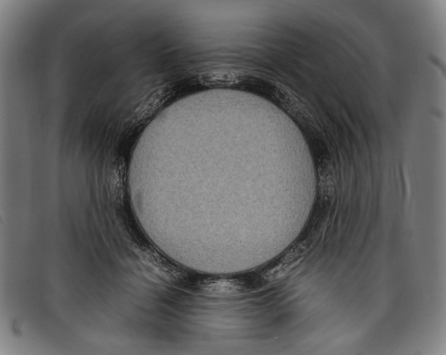 X0000097820460200804041403