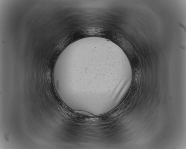 X0000097820461200804041403