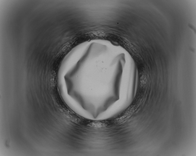 X0000097820464200804041403