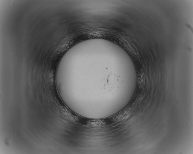 X0000097820466200804041403