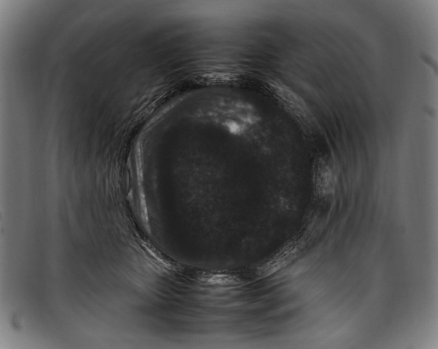 X0000097820467200804041403