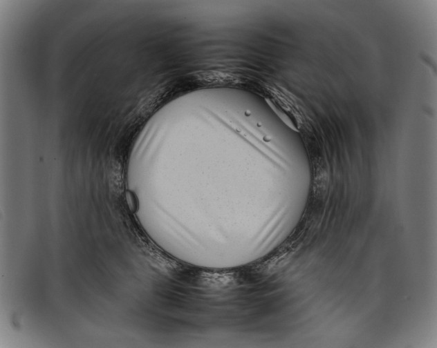 X0000097820469200804041403