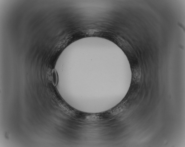 X0000097820470200804041403