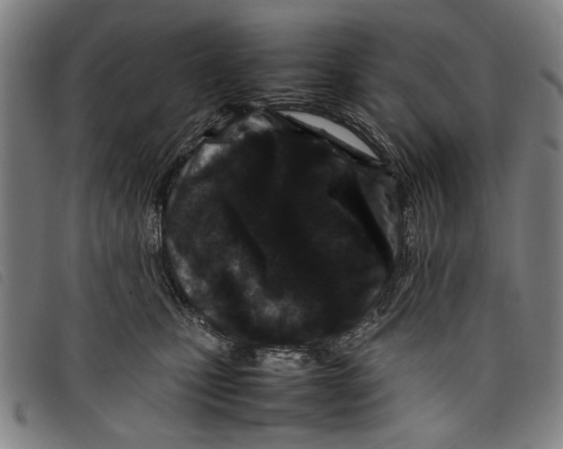 X0000097820471200804041403