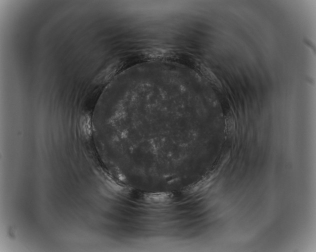 X0000097820479200804041403