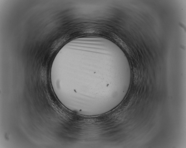 X0000097820482200804041402