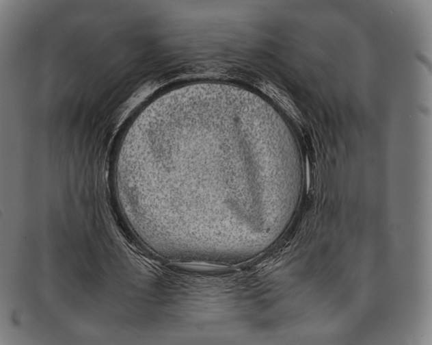 X0000097820483200804041402