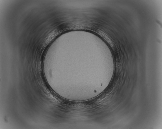 X0000097820485200804041402