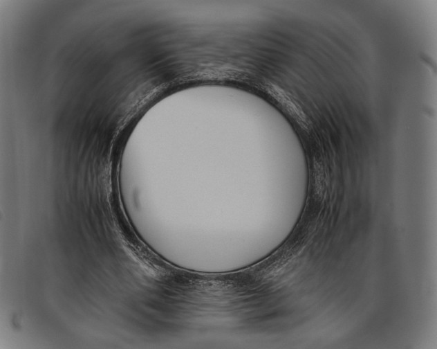 X0000097820486200804041402