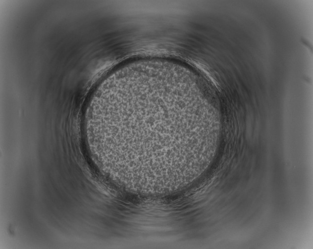 X0000097820487200804041402