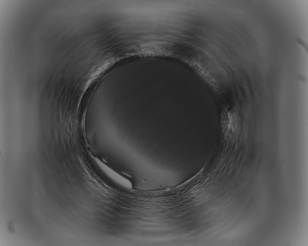 X0000097820488200804041402