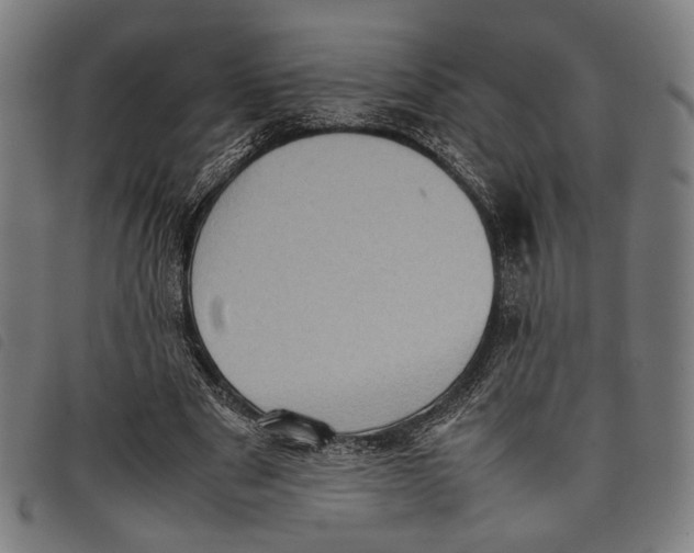 X0000097820489200804041402