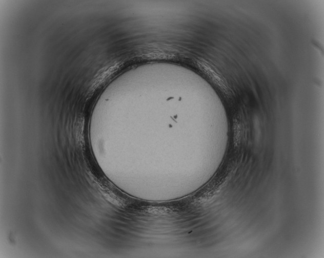 X0000097820490200804041402