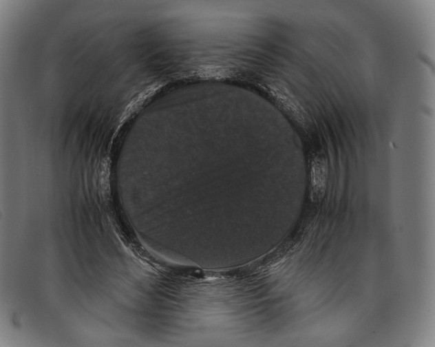 X0000097820492200804041402