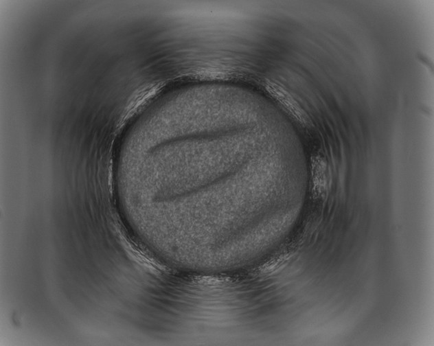 X0000097820494200804041402